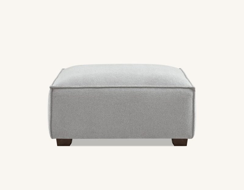 Couch With Chaise Lounge